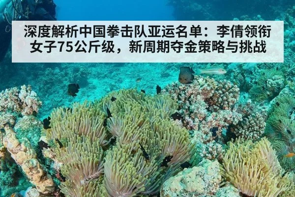 深度解析中国拳击队亚运名单：李倩领衔女子75公斤级，新周期夺金策略与挑战